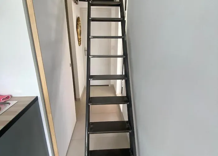 Nouvelle T2 Mezzanine Et Piscine Daire