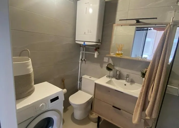 Nouvelle T2 Mezzanine Et Piscine Daire *
